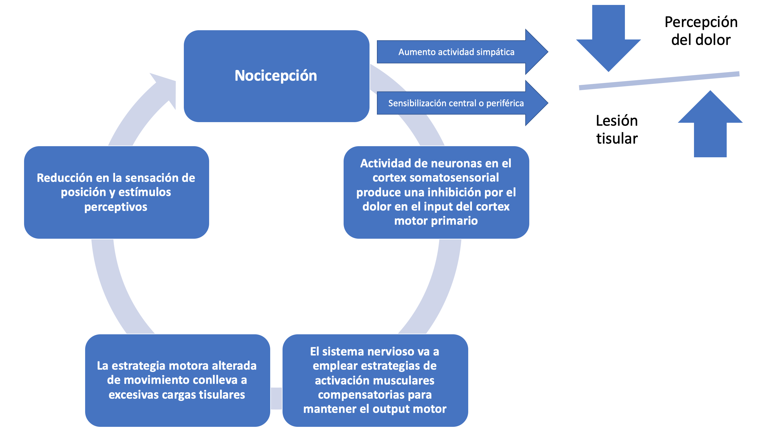 2-el uso universal de la rueda de hombro-kinedyf